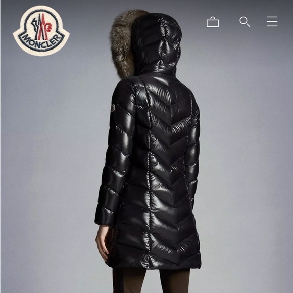 Moncler Fulmarus Winter Coat Womens - Picture 3 of 13